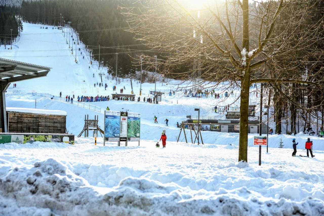 Chata U Vleku Kouty Nad Desnou Loučná nad Desnou Esterno foto